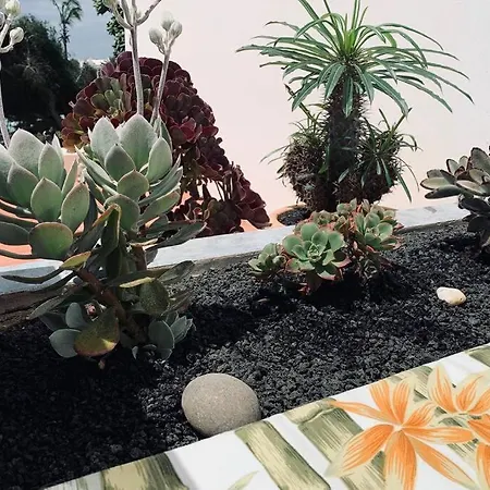 Loft Elegante